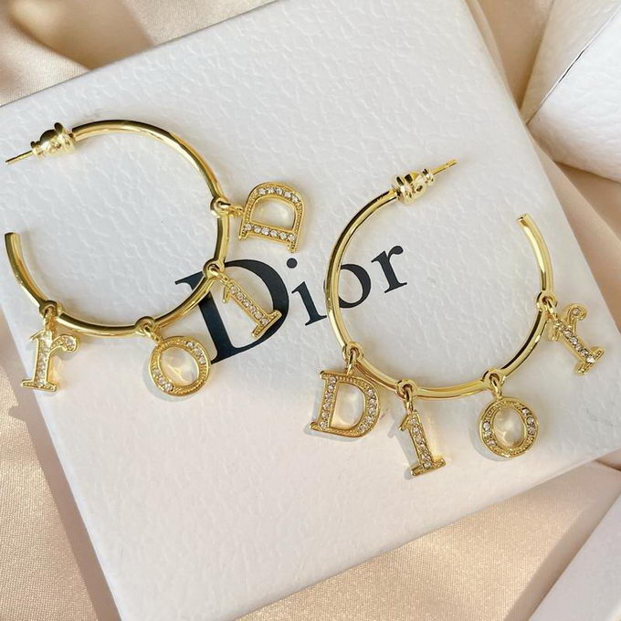 Dior Earrings ID:20230802-37